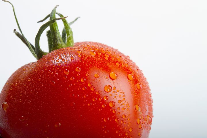 Почему трескаются томаты и не плодоносит яблоня?