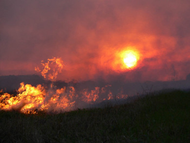 Прогноз погоды в Воронеже на четверг, 6 июля