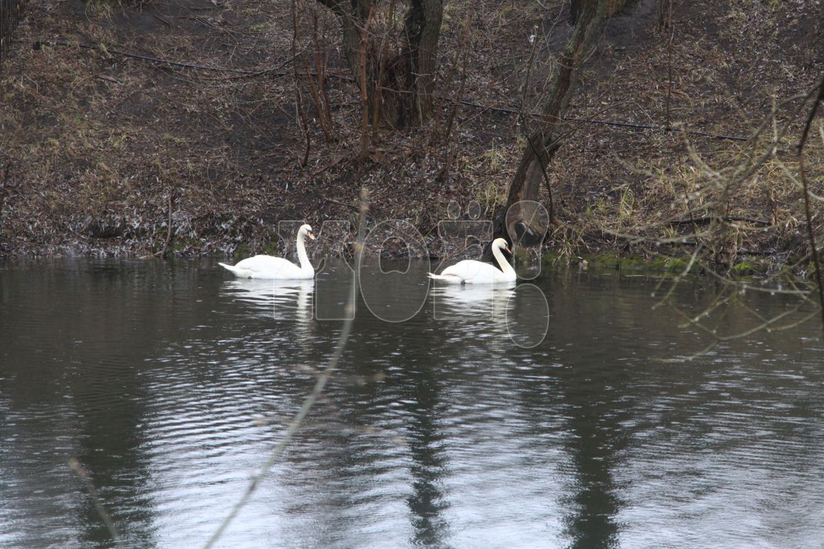 Прогноз погоды в&nbsp;Воронеже на&nbsp;пятницу, 7 июля
