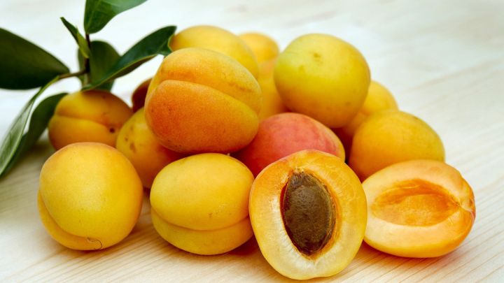 Воронежцам рассказали, почему на абрикосе могут появляться пятна