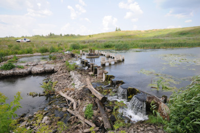 Тело пропавшего без вести 26-летнего мужчины найдено в воронежской реке
