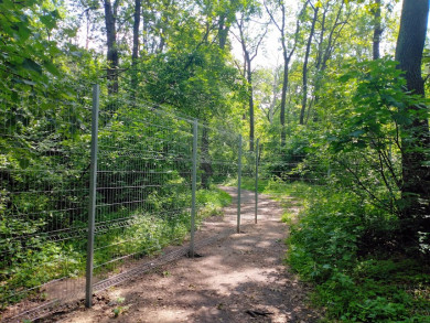 Зачем в «Олимпике» поставили забор?