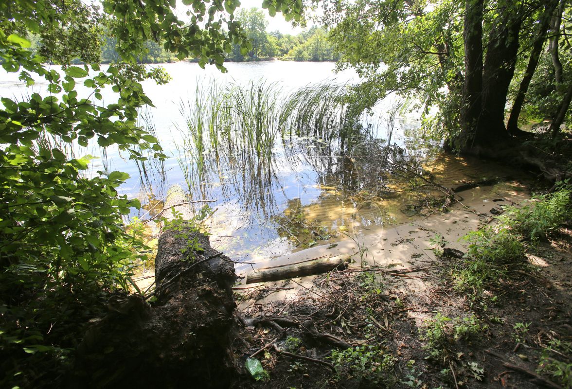 Жителям Воронежской области могут запретить посещать леса
