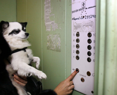 «Два месяца платим за то, что ходим пешком!» 