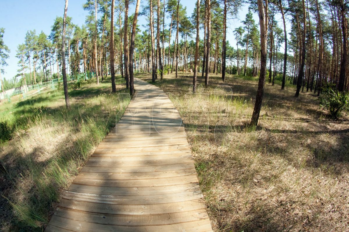 Прогноз погоды в&nbsp;Воронеже на&nbsp;вторник, 15 августа