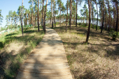 Прогноз погоды в Воронеже на вторник, 15 августа