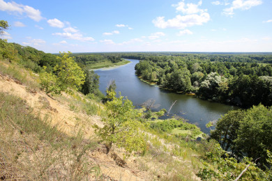 Прогноз погоды в Воронеже на четверг, 17 августа