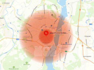 Управление ветеринарии отказалось пояснять, что делать воронежцам, купившим мясо в очаге сибирской язвы