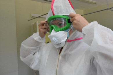 Уголовное дело возбудили из-за найденной в Воронеже сибирской язвы