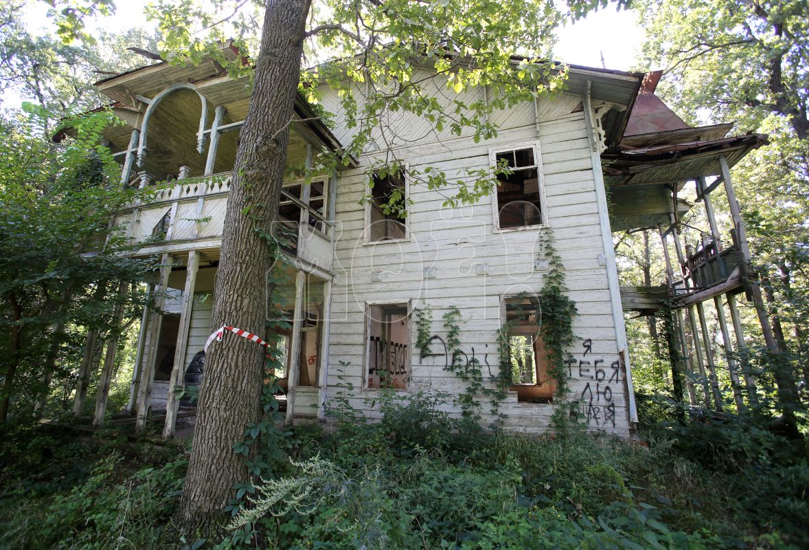 Дачу Вассермана в&nbsp;Воронеже снесли