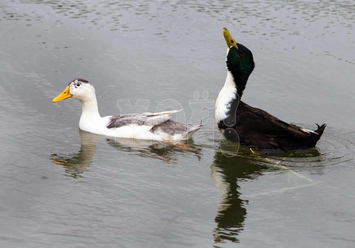 Синоптики рассказали, сильно ли похолодает на этих выходных в Воронеже