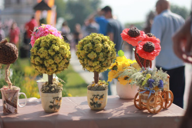 Стала известна программа фестиваля «Город-сад» в Воронеже