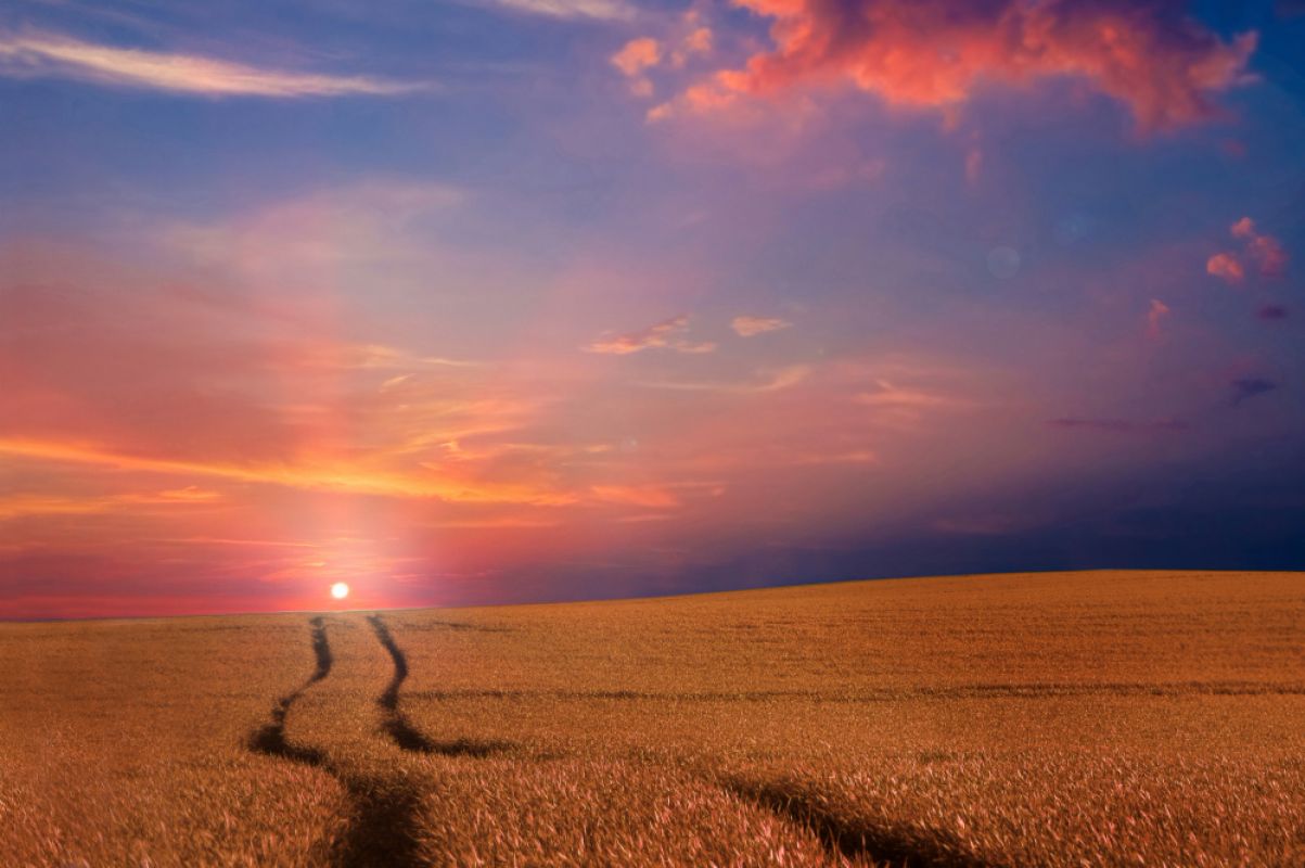 Осадки и похолодание: синоптик рассказал, каким будет бабье лето