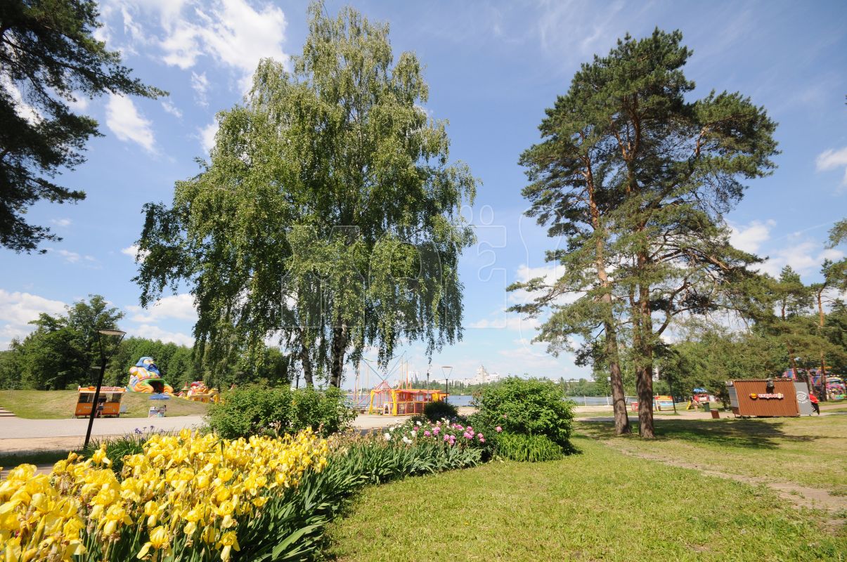 Синоптики рассказали о&nbsp;погоде в&nbsp;первые осенние выходные в&nbsp;Воронеже