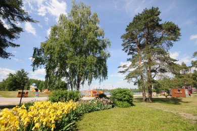 Синоптики рассказали о погоде в первые осенние выходные в Воронеже