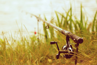 Воронежский СК начал проверку по факту гибели пропавшего без вести пенсионера 