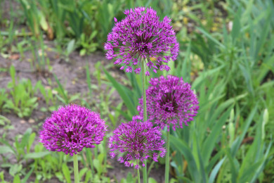 Прогноз погоды в Воронеже на четверг, 7 сентября