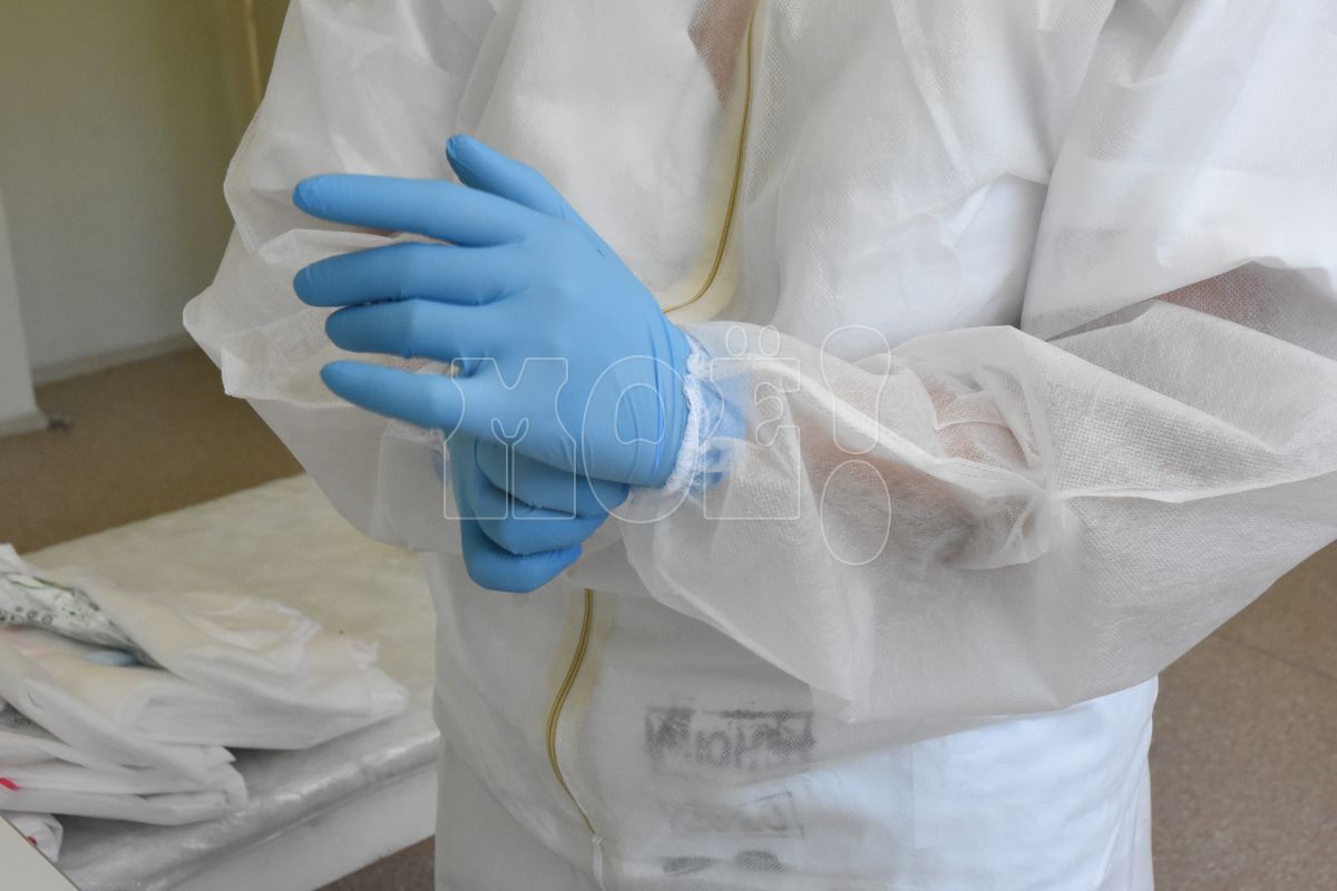 Три из почти 200 проб, взятых в Воронежской области, заражены сибирской язвой