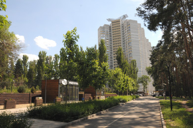 Прогноз погоды в Воронеже на понедельник, 11 сентября