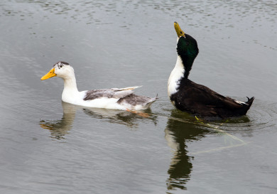 Прогноз погоды в Воронеже на вторник, 12 сентября