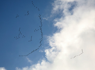 Прогноз погоды в Воронеже на среду, 13 сентября