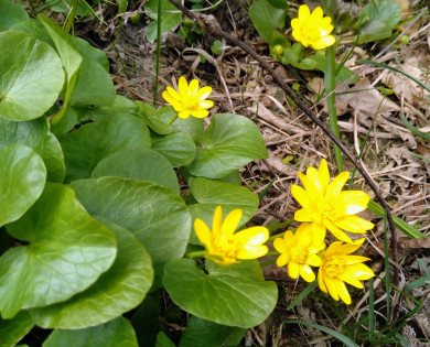 Прогноз погоды в Воронеже на пятницу, 15 сентября