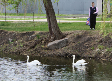 Прогноз погоды в Воронеже на среду, 20 сентября