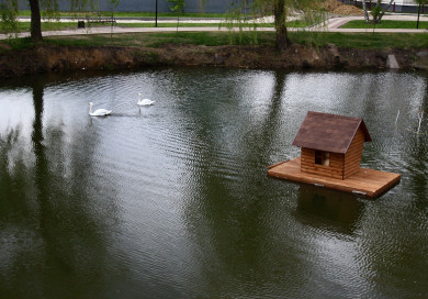 Прогноз погоды в Воронеже на пятницу, 22 сентября