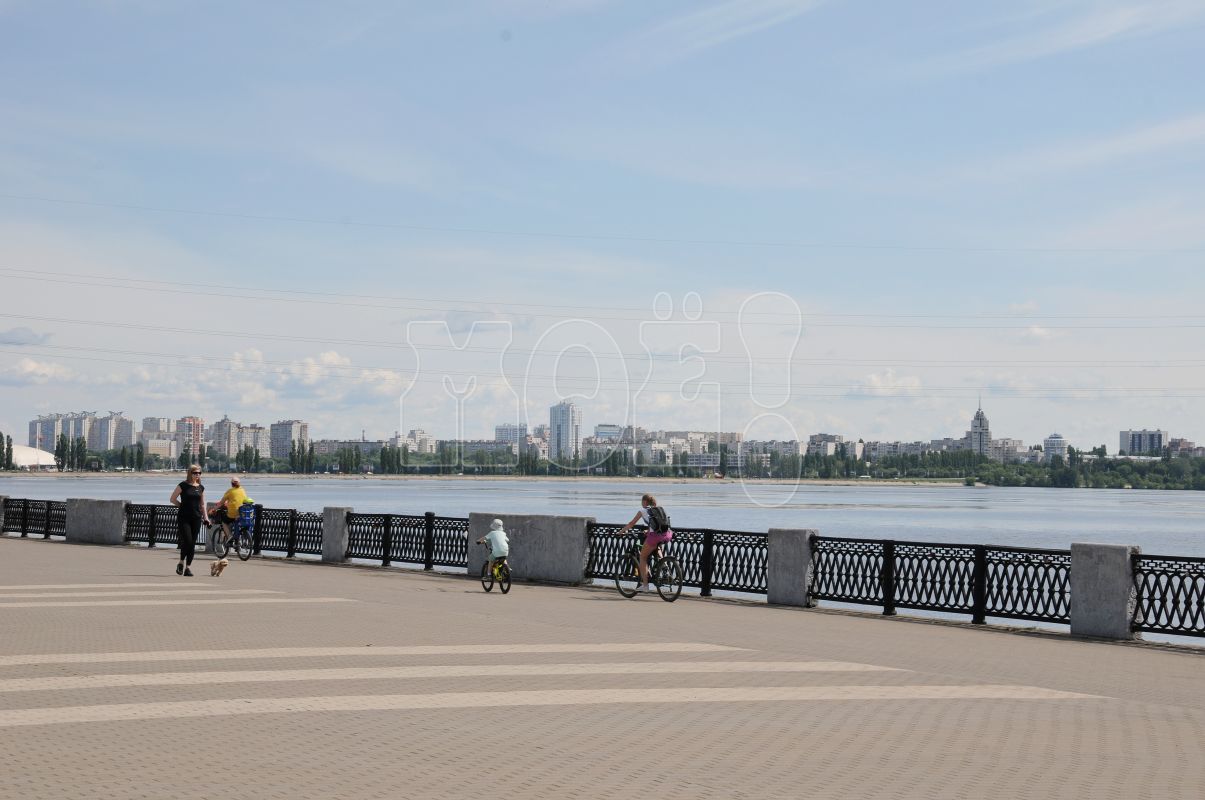 Как будут называться три новые остановки на&nbsp;воронежской набережной