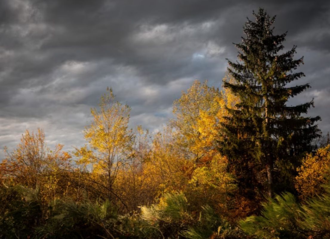 Прогноз погоды в&nbsp;Воронеже на&nbsp;среду, 11 октября