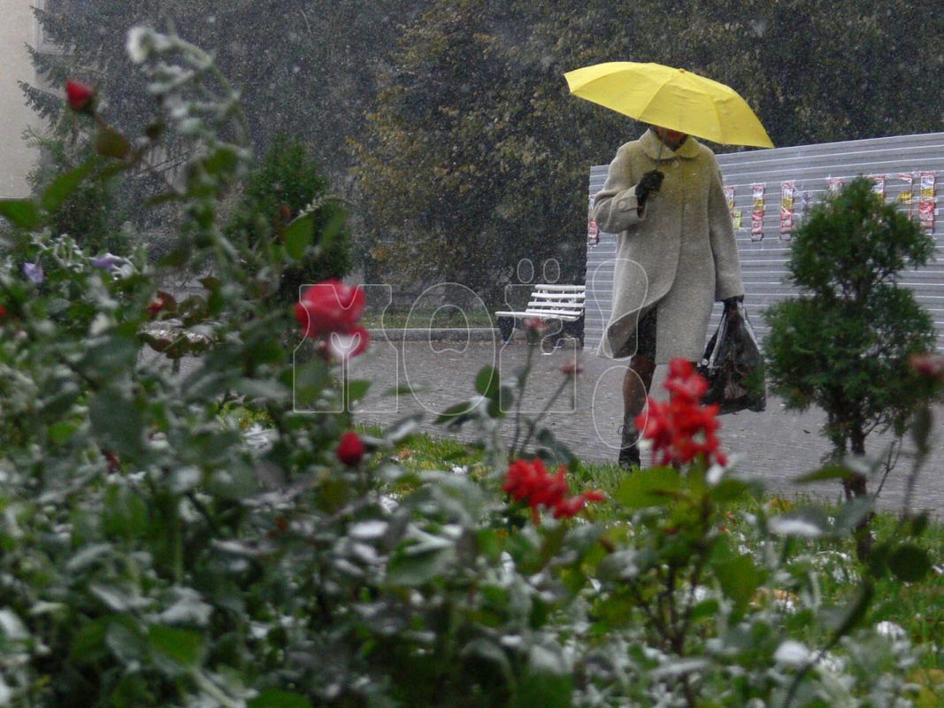 Сильные ветер и дождь надвигаются на Воронеж и районы области