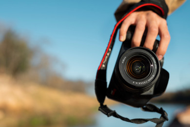 Воронежцам предложили необычные подработки