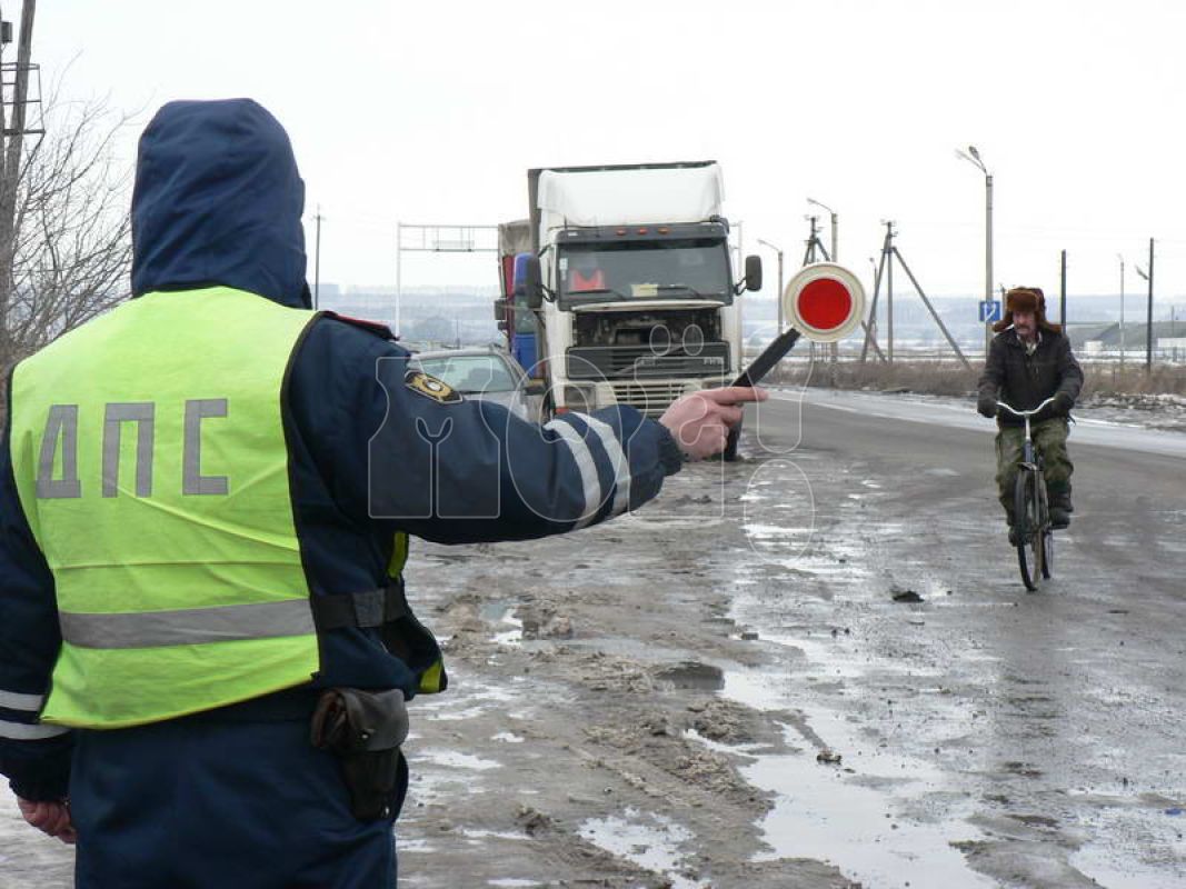 Водителей предупредили о&nbsp;рейдах в&nbsp;трёх районах Воронежской области