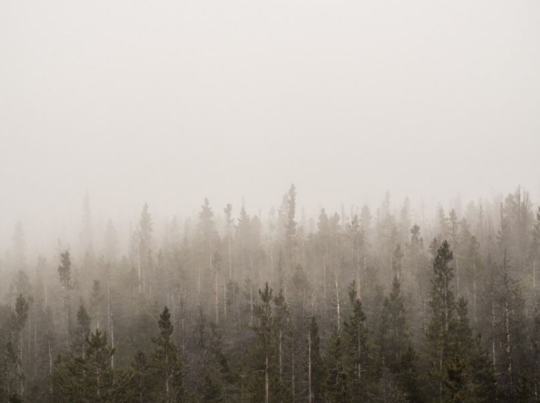 Жителей Воронежской области предупредили об&nbsp;опасном погодном явлении