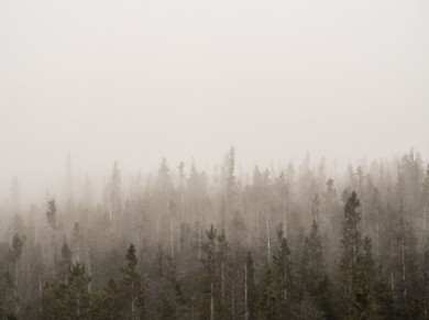 Жителей Воронежской области предупредили об опасном погодном явлении
