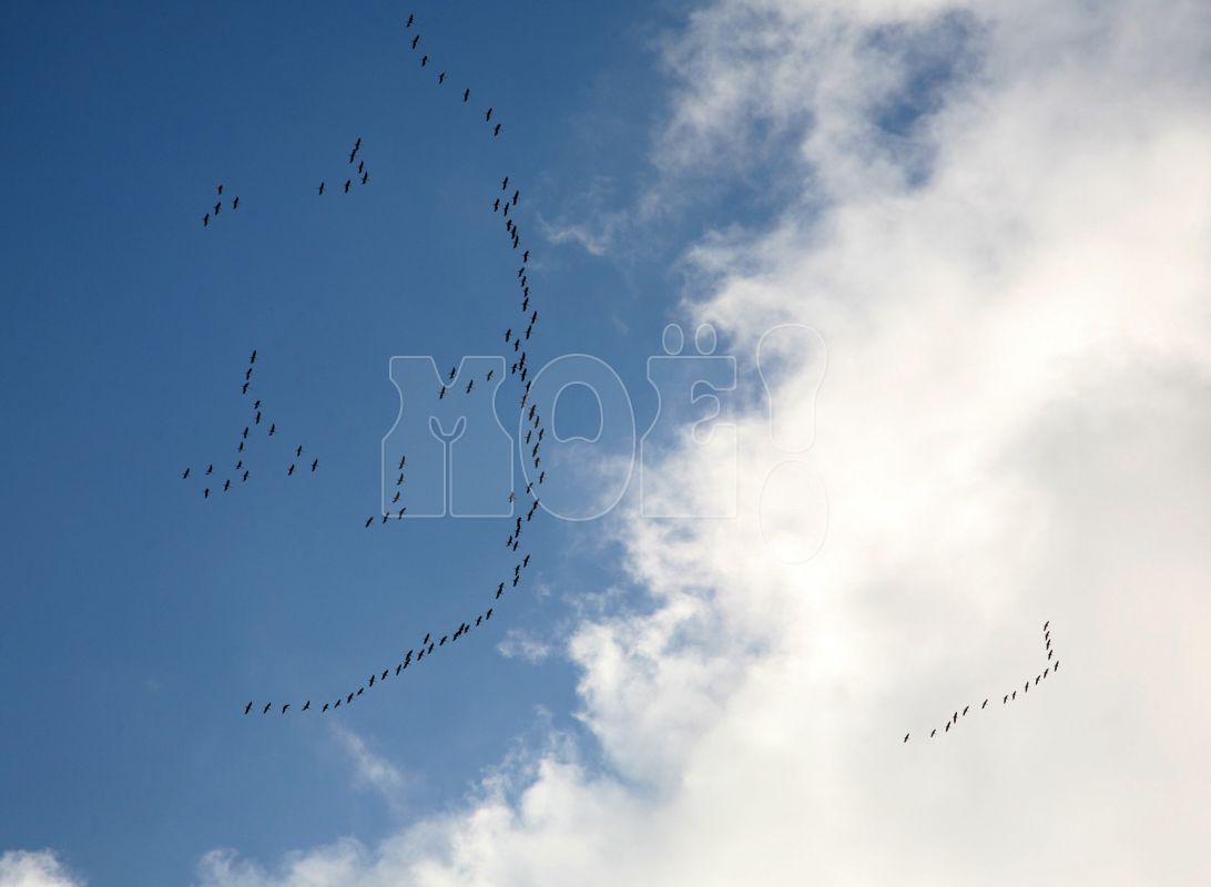 Прогноз погоды в&nbsp;Воронеже на&nbsp;субботу, 11 ноября