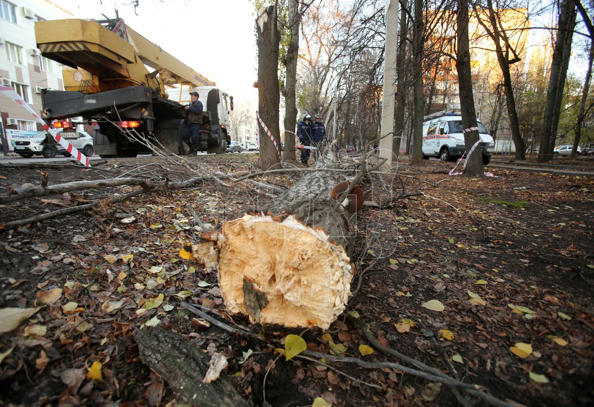 <p>Заставочное фото</p>