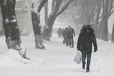 Когда закончится снегопад в Воронеже