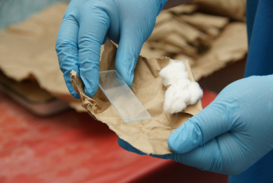 Очаг бешенства обнаружили в Воронежской области