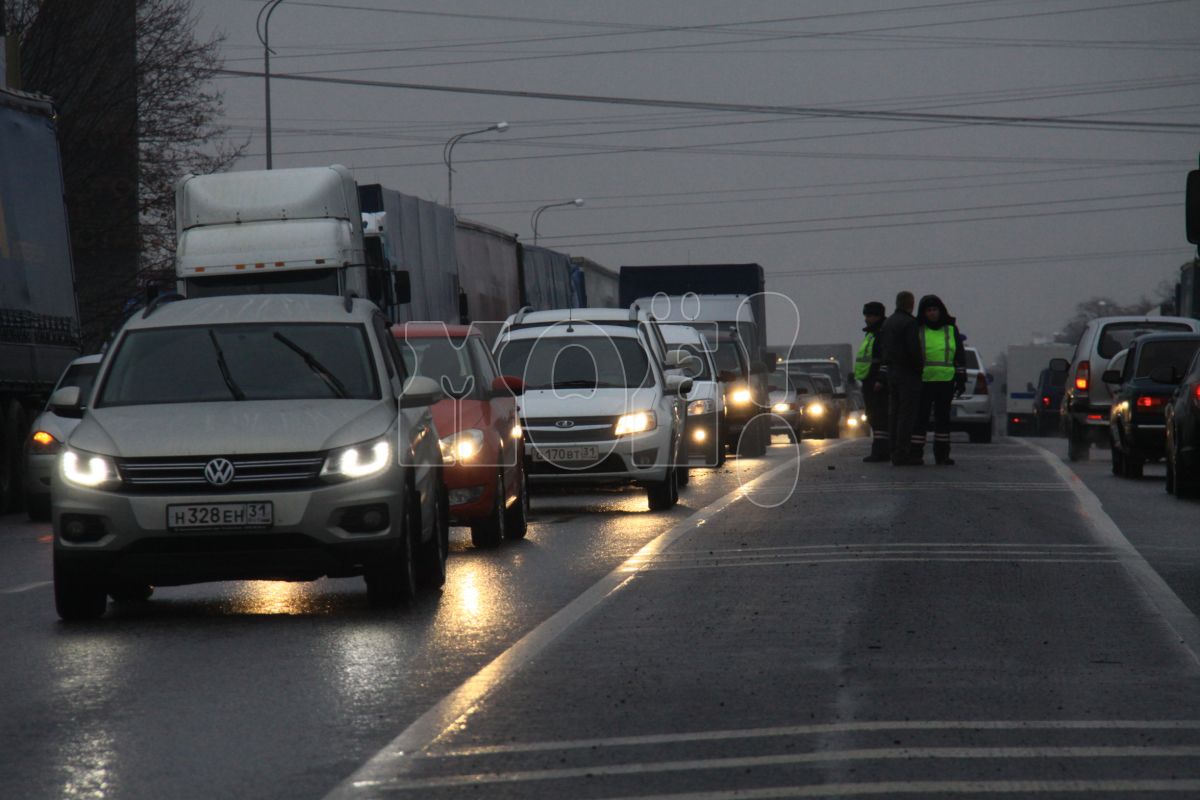 Движение по&nbsp;трассе М-4 «Дон» ограничили в&nbsp;Воронежской области
