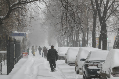 Прогноз погоды в Воронеже на четверг, 23 ноября