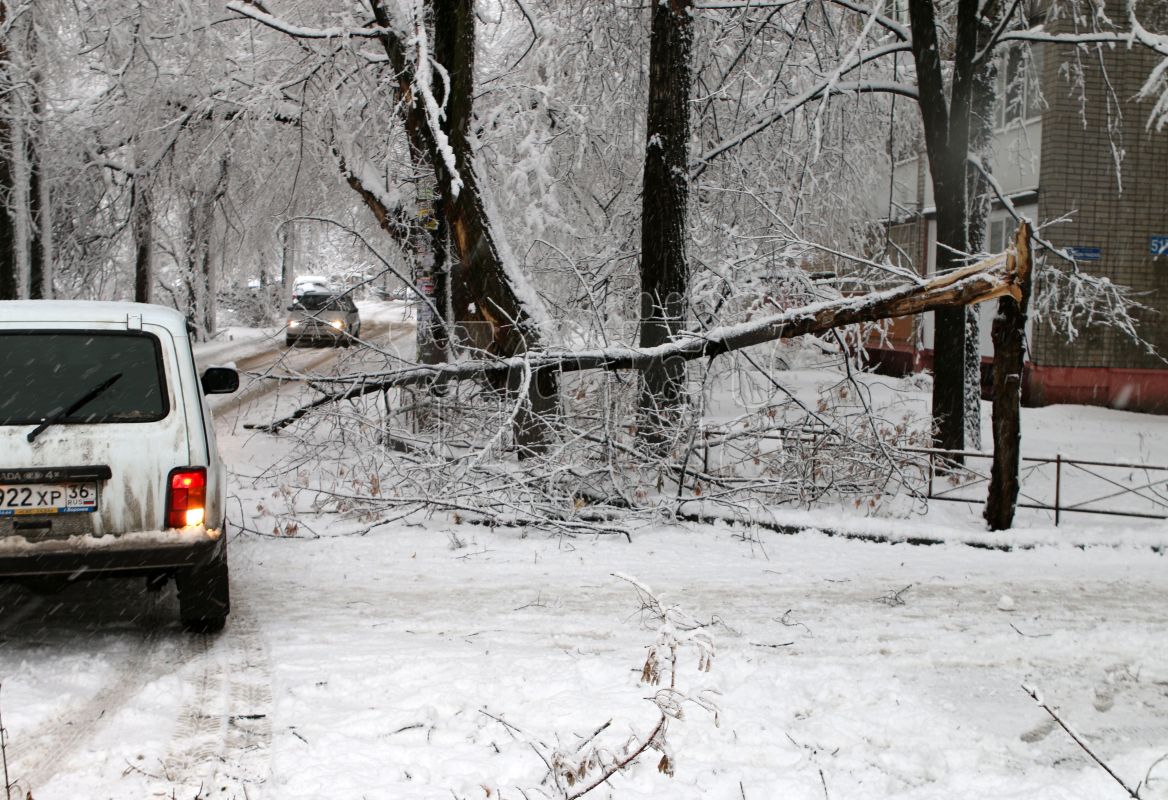 <p>Заставочное фото</p>