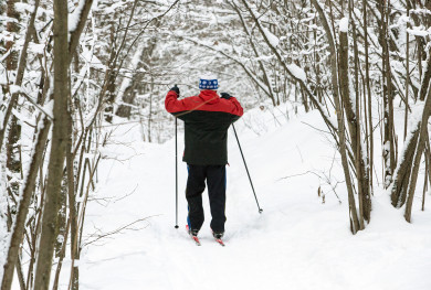 Прогноз погоды в Воронеже на четверг, 30 ноября