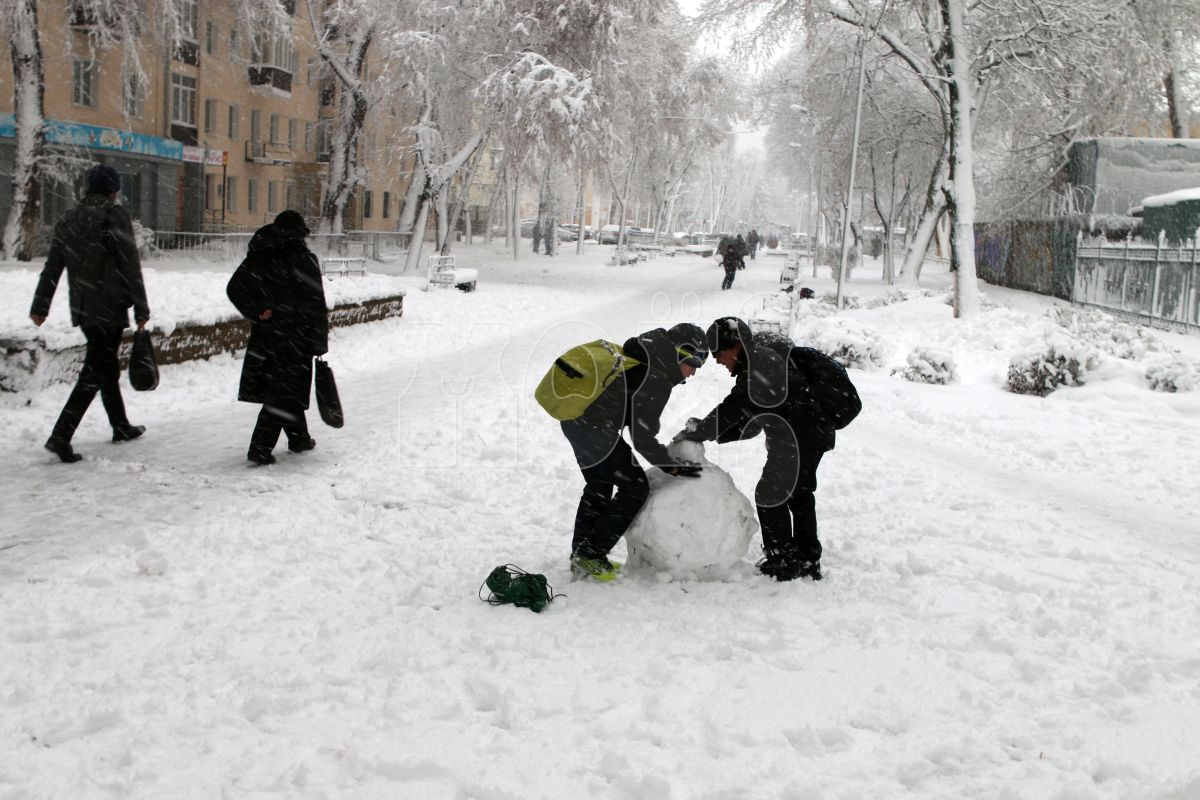 Резкое похолодание придёт в&nbsp;Воронежскую область в&nbsp;начале рабочей недели
