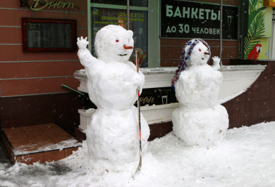 Мужчина похитил снеговика и отправился в тюрьму в Воронежской области