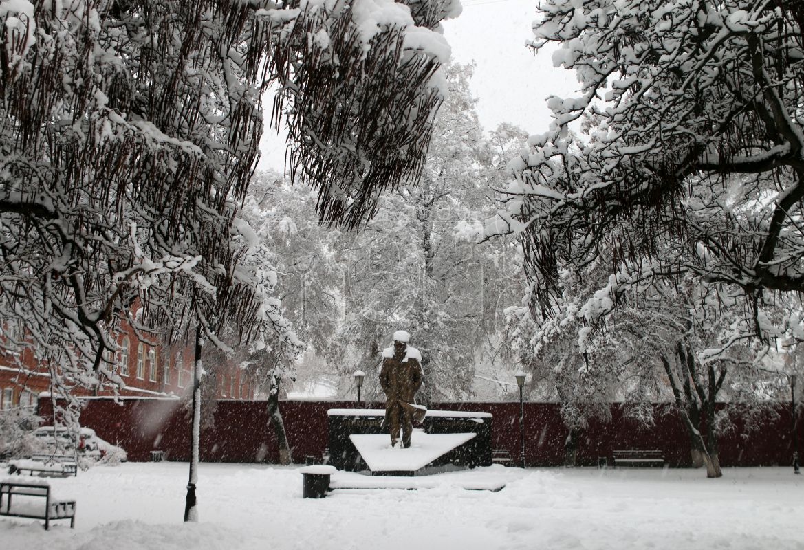 Аномальные морозы надвигаются на&nbsp;Воронежскую область