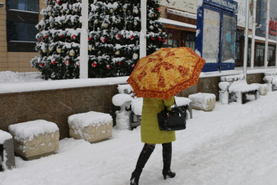 Прогноз погоды в Воронеже на четверг, 4 января