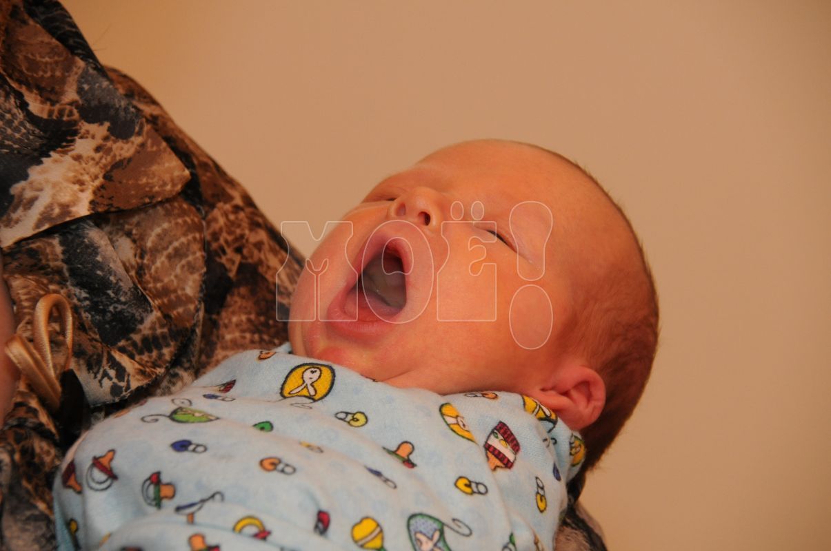 <p>Заставочное фото</p>