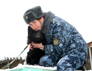 Почему кинолог воронежского УФСИН оставила крокодилов и начала работать с собаками