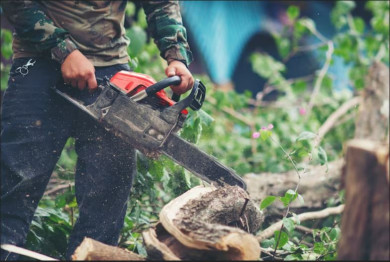 Главное за ночь. Молодой человек зарезал бензопилой своего дедушку